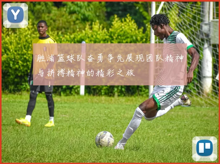 胜浦篮球队奋勇争先展现团队精神与拼搏精神的精彩之旅