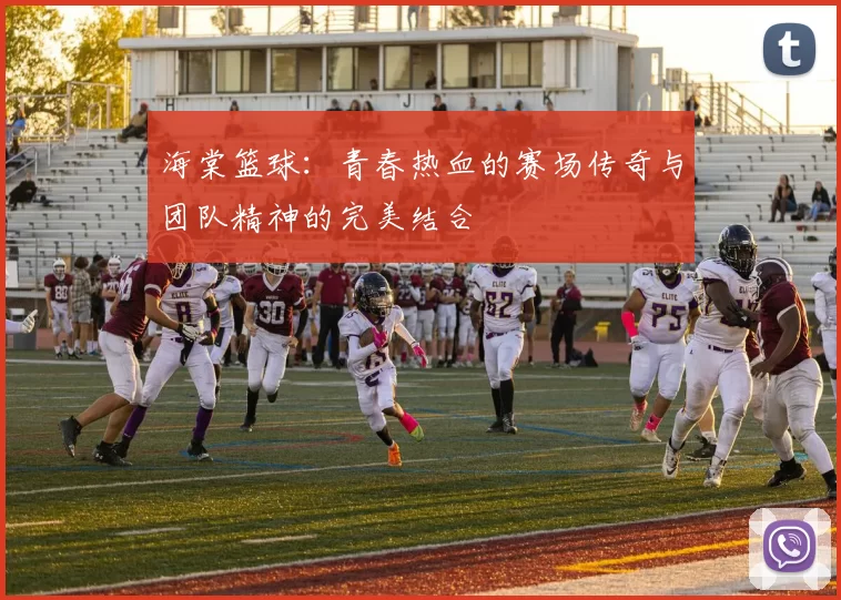 海棠篮球：青春热血的赛场传奇与团队精神的完美结合